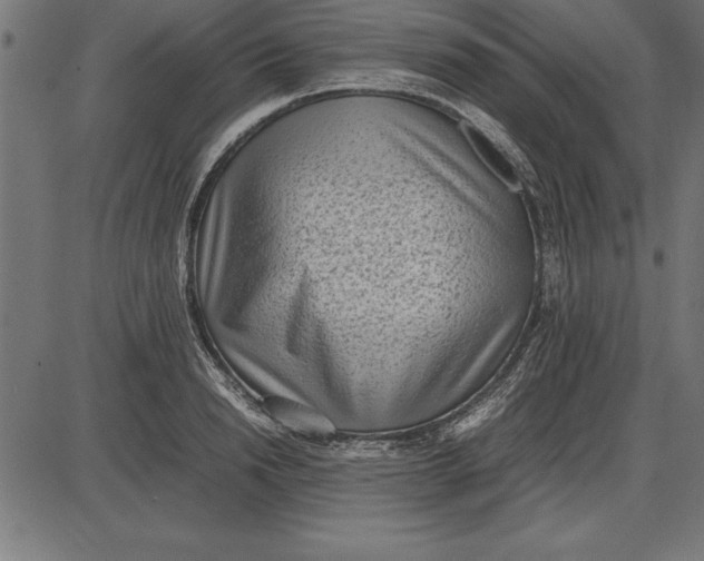 X0000086110846200704091416