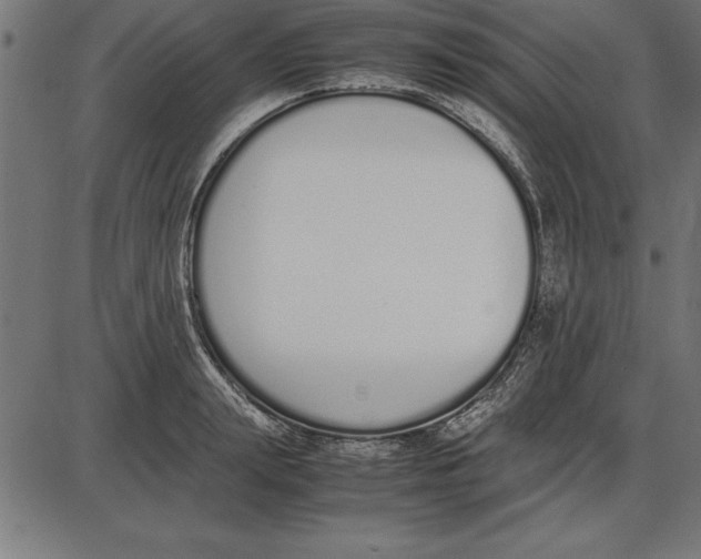 X0000086110847200704091416