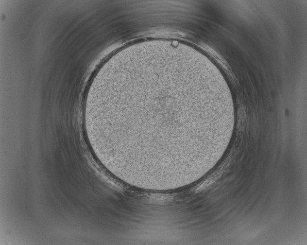 X0000086110848200704091416