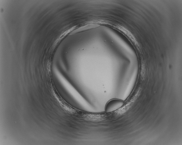 X0000086110849200704091416