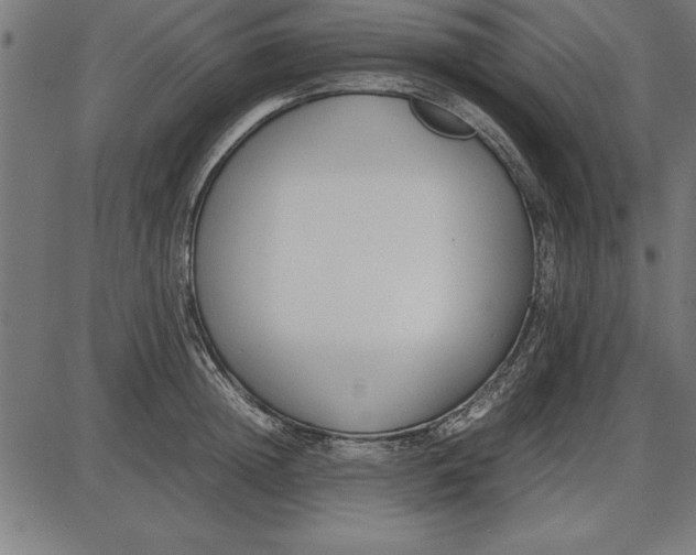 X0000086110852200704091416