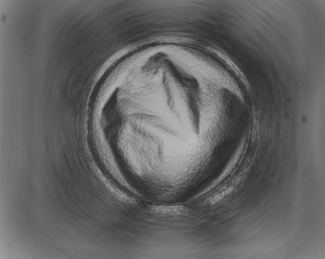 X0000086110853200704091416