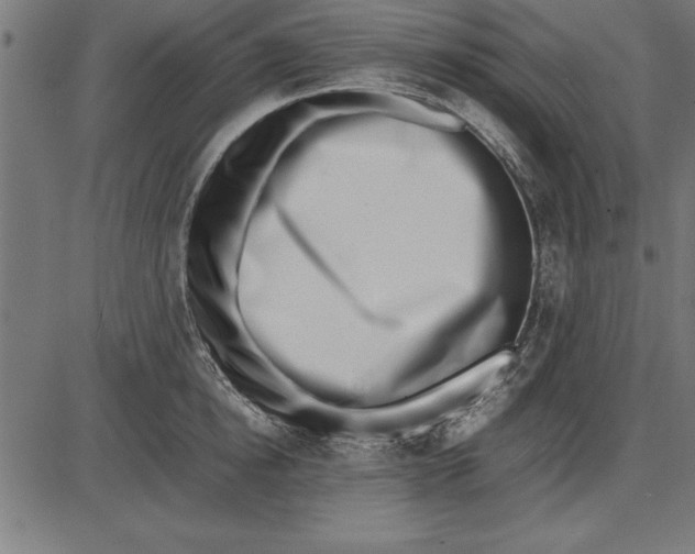 X0000086110854200704091416