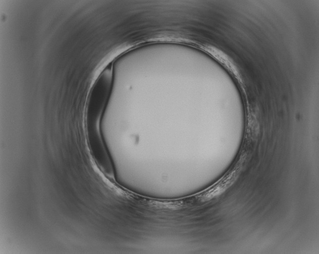 X0000086110855200704091416