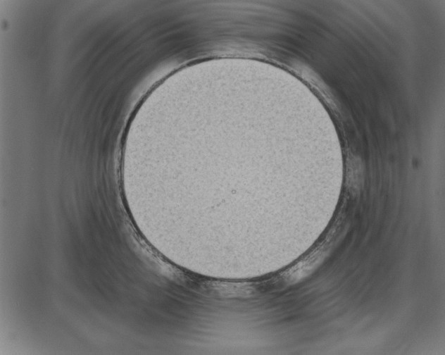 X0000086110856200704091416