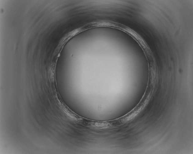 X0000086110857200704091416