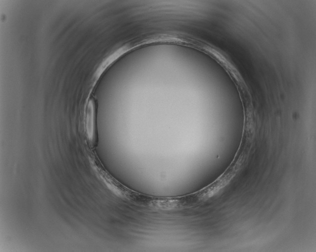 X0000086110858200704091416