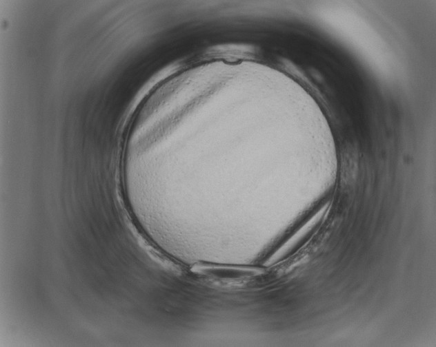 X0000086110861200704091416