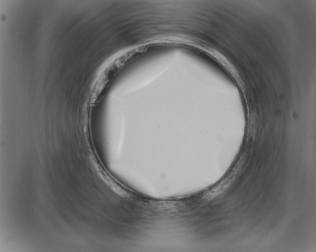 X0000086110862200704091416