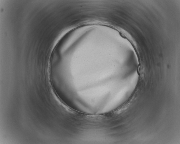 X0000086110863200704091416