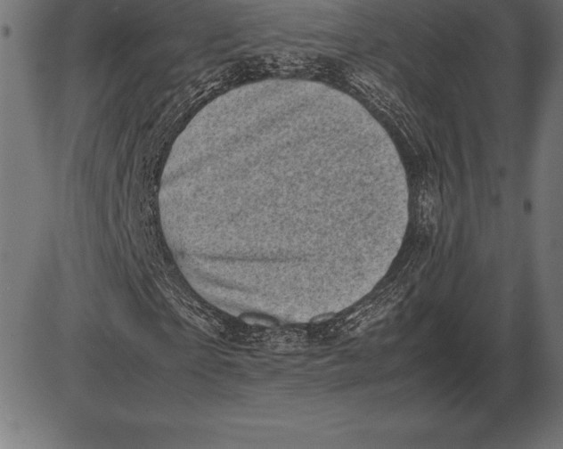 X0000086110865200704091416