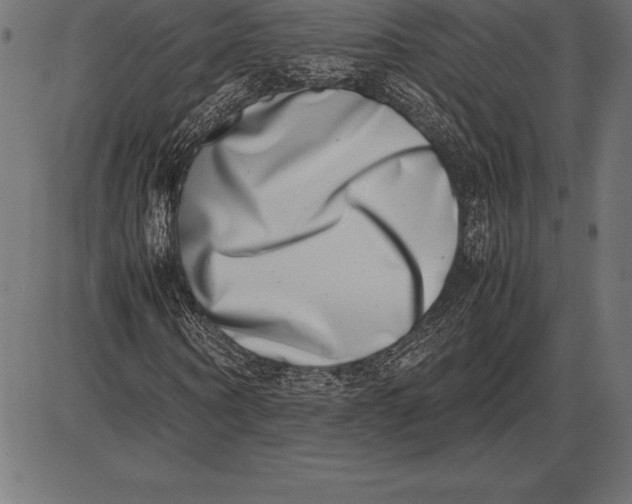 X0000086110866200704091416