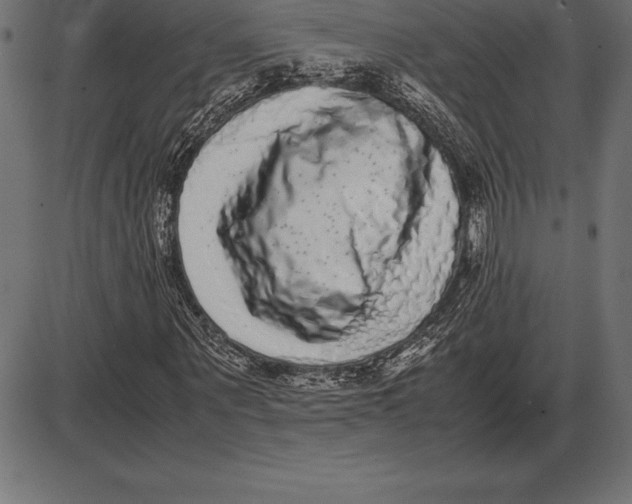 X0000086110867200704091416