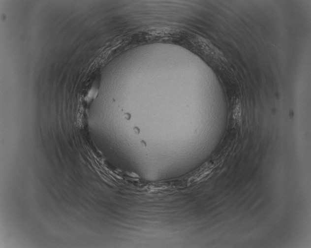 X0000086110868200704091416