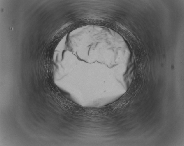 X0000086110870200704091416