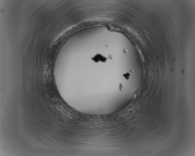 X0000086110872200704091416