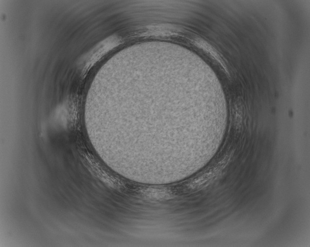 X0000086110874200704091416