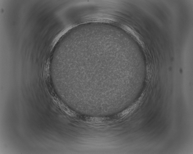 X0000086110875200704091416