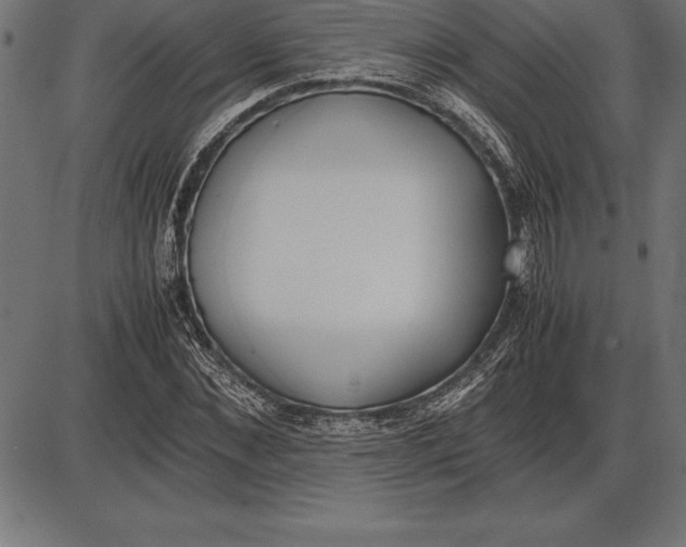 X0000086110876200704091415