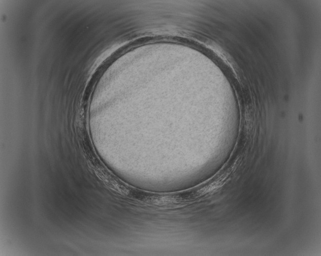 X0000086110879200704091415