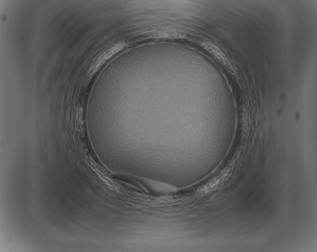 X0000086110881200704091415