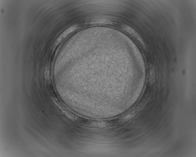 X0000086110882200704091415