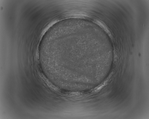 X0000086110883200704091415