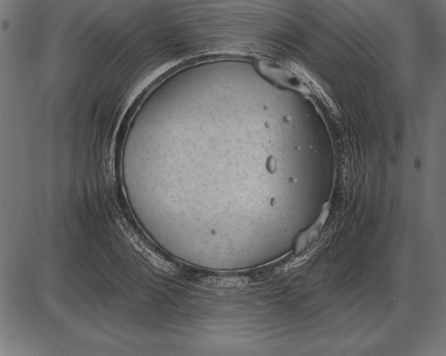 X0000086110884200704091415