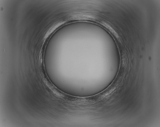 X0000086110885200704091415