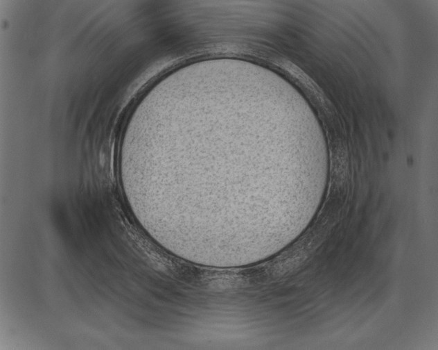 X0000086110886200704091415