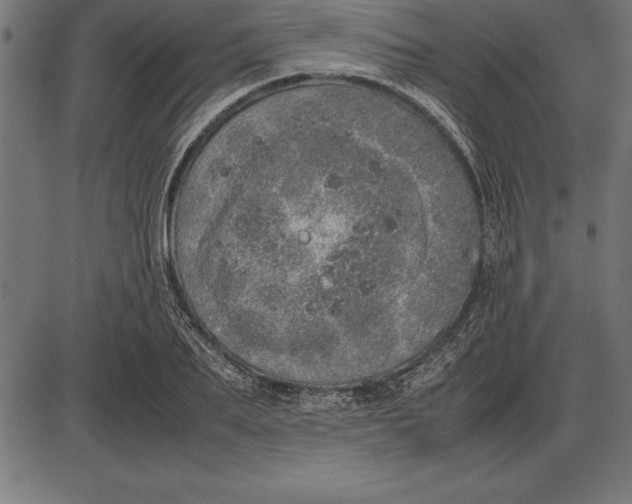 X0000086110887200704091415