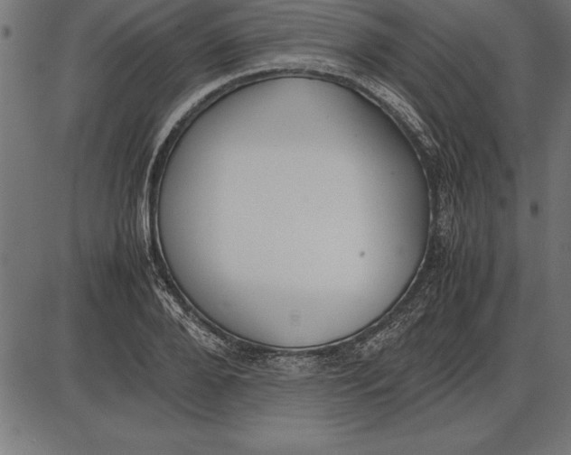 X0000086110888200704091415