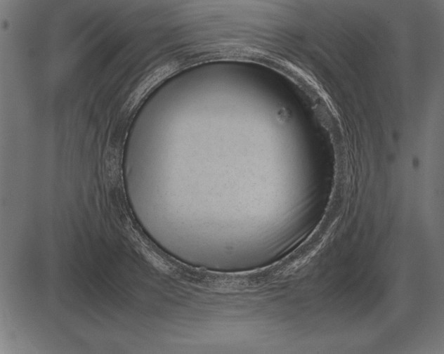 X0000086110889200704091415