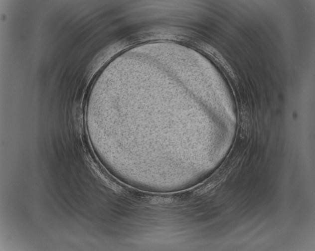 X0000086110890200704091415