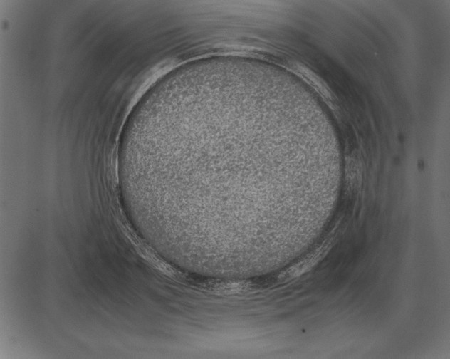 X0000086110891200704091415