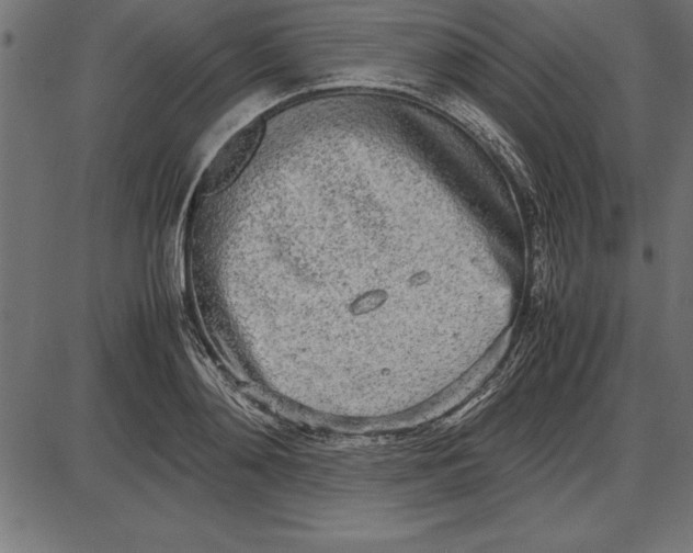 X0000086110892200704091415