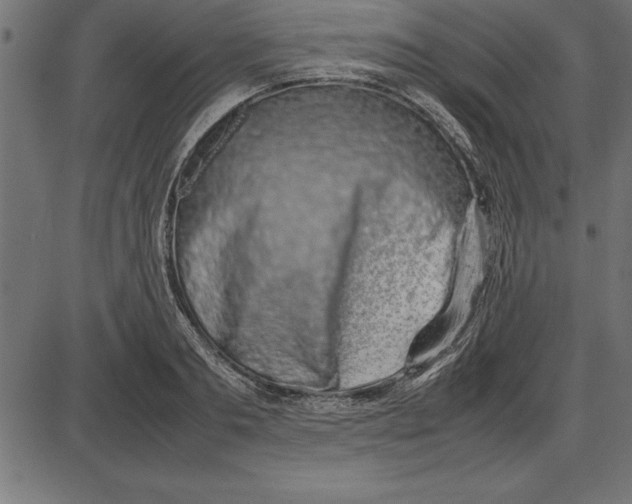 X0000086110893200704091415