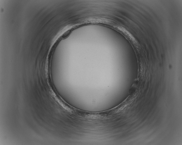 X0000086110894200704091415