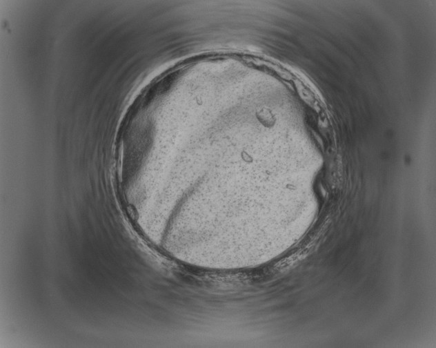 X0000086110895200704091415