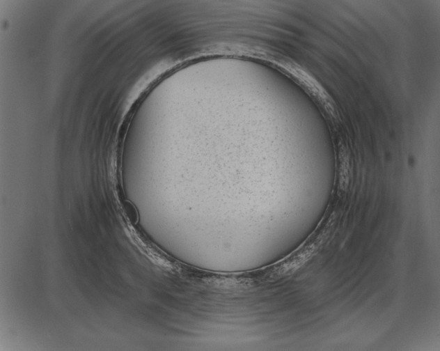 X0000086110896200704091415