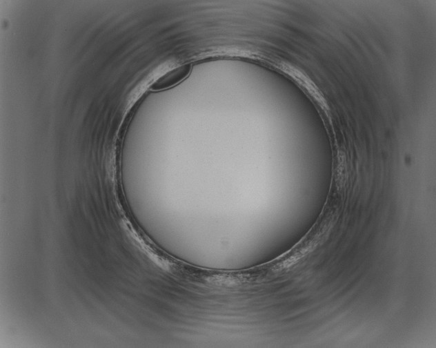 X0000086110898200704091415