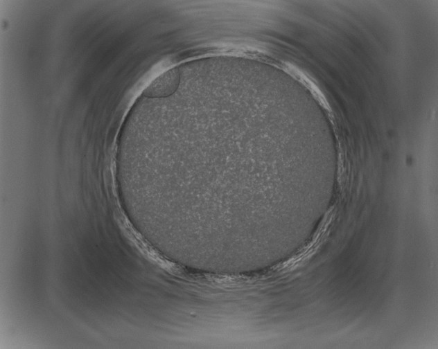 X0000086110899200704091415