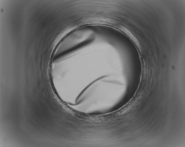 X0000086110901200704091415