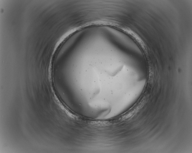 X0000086110902200704091415