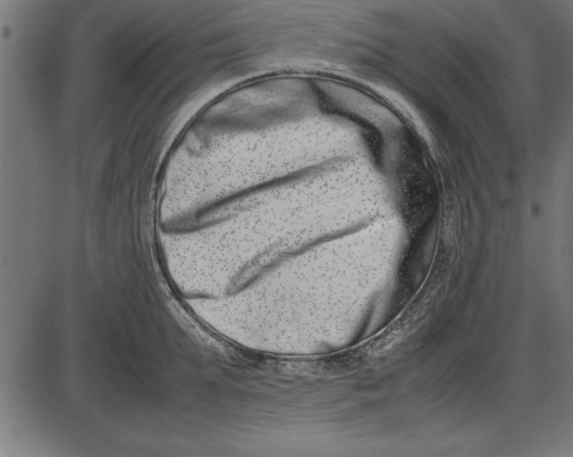 X0000086110903200704091415