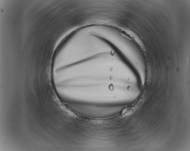 X0000086110904200704091415