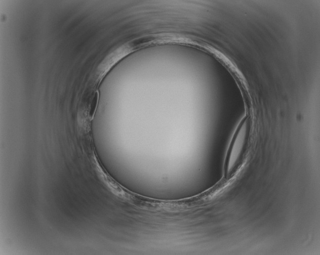 X0000086110905200704091415