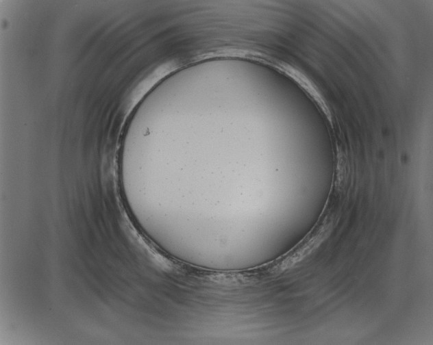 X0000086110906200704091415