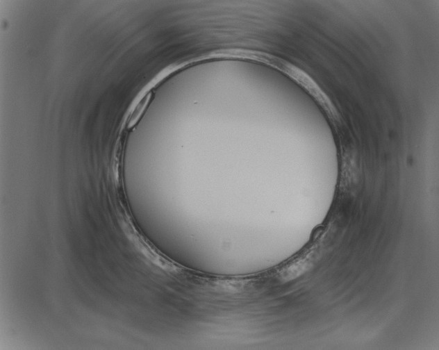 X0000086110908200704091415