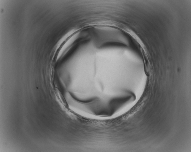 X0000086110909200704091415